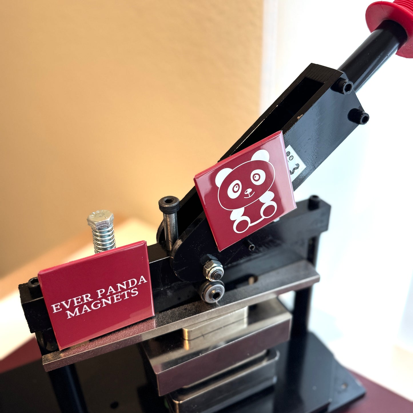 Individual Magnet