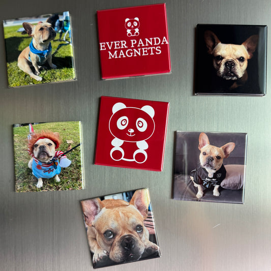 6 Custom Photo Magnets